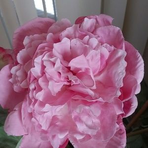 Meet your Posher, Robyn